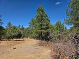 23251 Spirit Mountain Dr - Photo 14