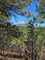 23251 Spirit Mountain Dr - Photo 15