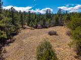23251 Spirit Mountain Dr - Photo 18