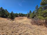 23251 Spirit Mountain Dr - Photo 20