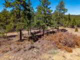 23251 Spirit Mountain Dr - Photo 22