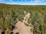 23251 Spirit Mountain Dr - Photo 27