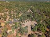 23251 Spirit Mountain Dr - Photo 28