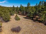 23251 Spirit Mountain Dr - Photo 31