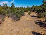 23251 Spirit Mountain Dr - Photo 32