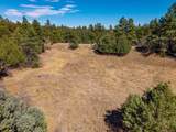 23251 Spirit Mountain Dr - Photo 33