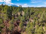 23251 Spirit Mountain Dr - Photo 34
