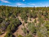 23251 Spirit Mountain Dr - Photo 38