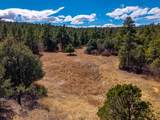 23251 Spirit Mountain Dr - Photo 9