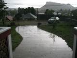 1309 Buena Vista St - Photo 11