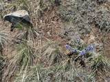 TBD Majors Ranch Lot 31-B - Photo 22