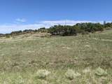TBD Majors Ranch Lot 31-B - Photo 25