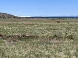 TBD Majors Ranch Lot 31-B - Photo 26