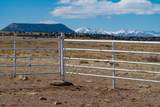 TBD Majors Ranch Lot 31-B - Photo 49