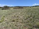 TBD Majors Ranch Lot 31-B - Photo 5