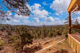 16556 Buena Vista Drive - Photo 25
