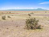 TBD County Road 101.5 - Photo 1