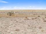 TBD County Road 101.5 - Photo 10