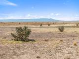 TBD County Road 101.5 - Photo 6