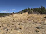 13325 Little Bear Canyon - Photo 10