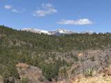 13325 Little Bear Canyon - Photo 11