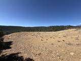 13325 Little Bear Canyon - Photo 3