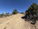 13325 Little Bear Canyon - Photo 5