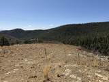 13325 Little Bear Canyon - Photo 6