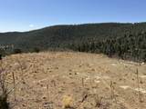 13325 Little Bear Canyon - Photo 7
