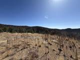 13325 Little Bear Canyon - Photo 8