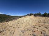 13325 Little Bear Canyon - Photo 9