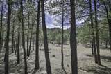 TBD Stonewall Meadows Road - Photo 12