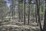 TBD Stonewall Meadows Road - Photo 19