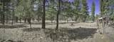 TBD Stonewall Meadows Road - Photo 22