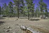 TBD Stonewall Meadows Road - Photo 23