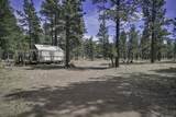 TBD Stonewall Meadows Road - Photo 35