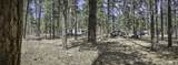 TBD Stonewall Meadows Road - Photo 36