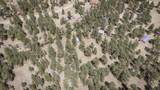 TBD Stonewall Meadows Road - Photo 40