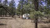 TBD Stonewall Meadows Road - Photo 43