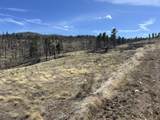 Lot 184 Forbes Park - Photo 4