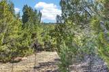 415 Riata Drive - Photo 49