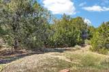 415 Riata Drive - Photo 50