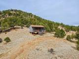 11751 County Road 31.9 - Photo 39