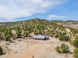 11751 County Road 31.9 - Photo 41