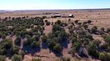 965 Newton Rd - Photo 40