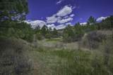 TBD Primero Ranch Lot 45 - Photo 10