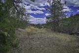 TBD Primero Ranch Lot 45 - Photo 27