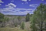 TBD Primero Ranch Lot 45 - Photo 33