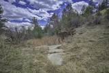 TBD Primero Ranch Lot 45 - Photo 9