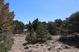  River Ridge Ranch - Photo 10